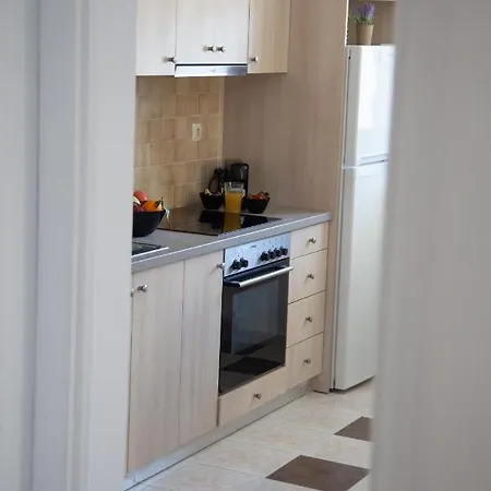 Alex.the Flat * 阿尔戈斯托利翁